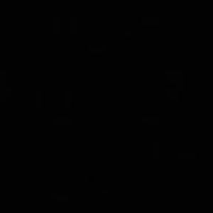 Meet your Posher, Angelina